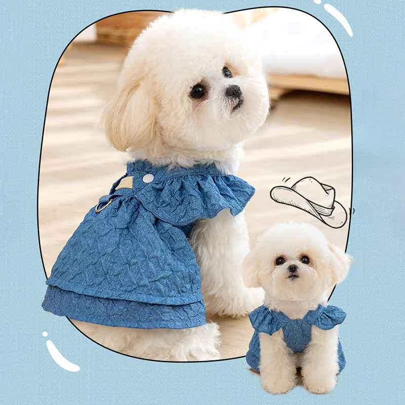 2025 Hoopreety Ropa para Perro - Summer Clothing List reseña y precio
